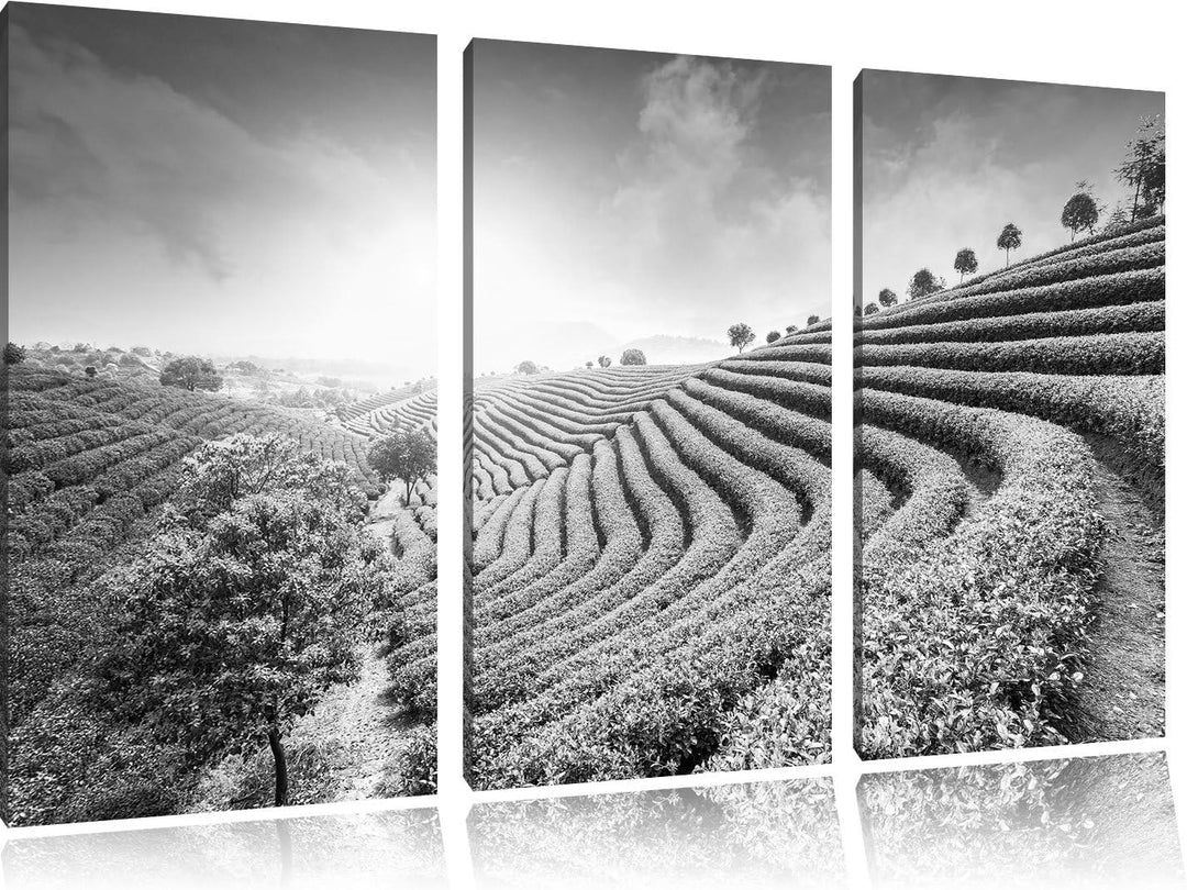 Pixxprint Japanische Treppenfelder Kunst B&W als Leinwandbild | Grösse: 3 Teilig (120x80) | Wandbild