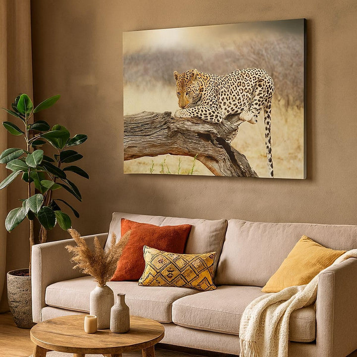 Bilder auf Leinwand Afrika Leopard Katze Safari Leinwandbild 70x50cm Wandbilder Dekoration Wohnzimme