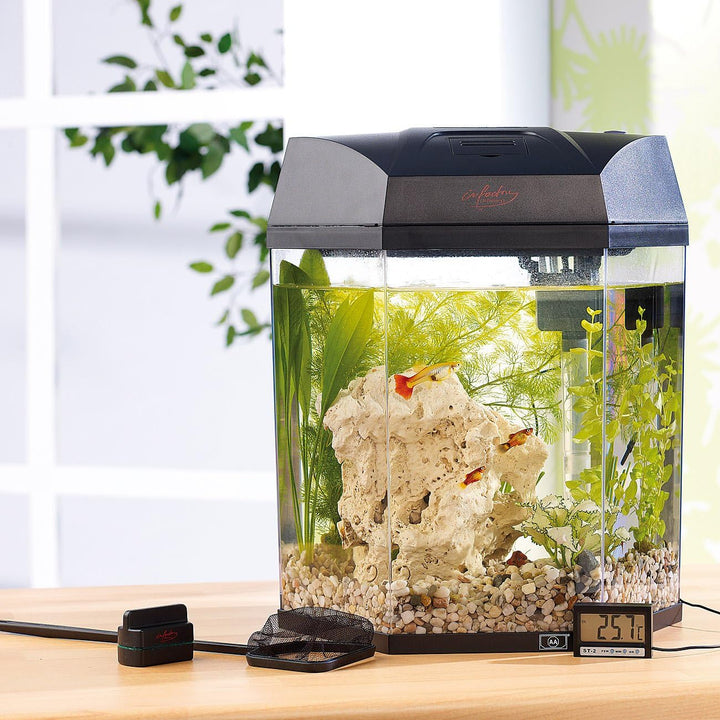 infactory Nano Aquarium: Beleuchtetes Panorama-Aquarium Hexagon, Komplett-Set, 19 l (Panorama Aquari