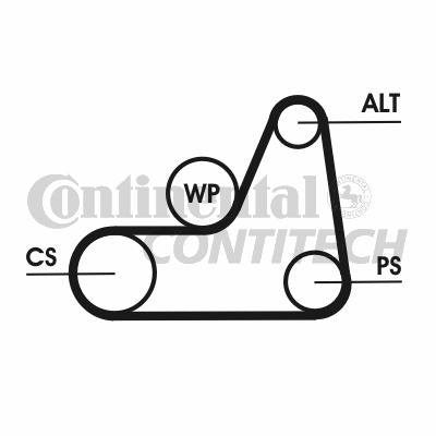 CONTITECH 6PK1042ELASTT1 Keilrippenriemensatz
