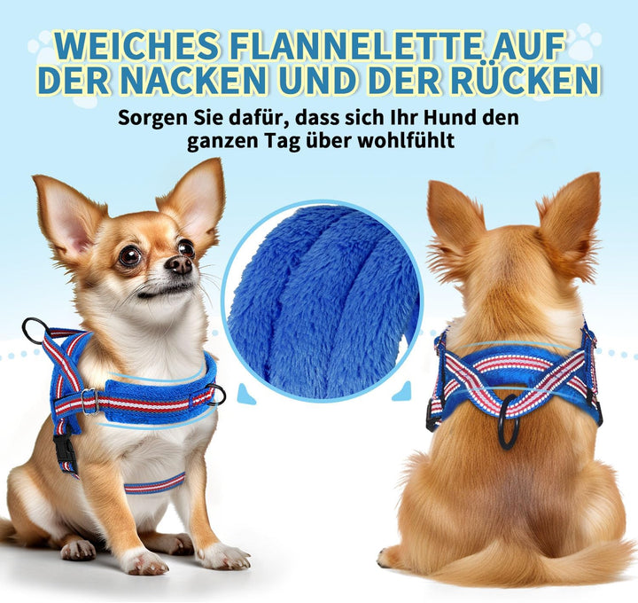 Eyein Hundegeschirr mit Leine für mittelgrosse Kleine Hunde, Weich gepolsterter No-Pull Brustgeschir