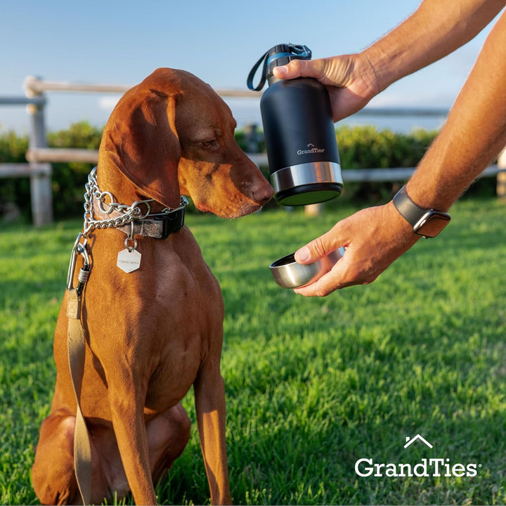 GrandTies Isolierte tragbare Hundewasserflasche mit 2 abnehmbaren Hundenapfspender, auslaufsicherer