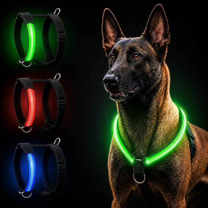 Petty Store -Leuchtharnisch für Hunde, wasserdicht, 3 Farben – Geschirr mit LED, USB-Aufladung bis z
