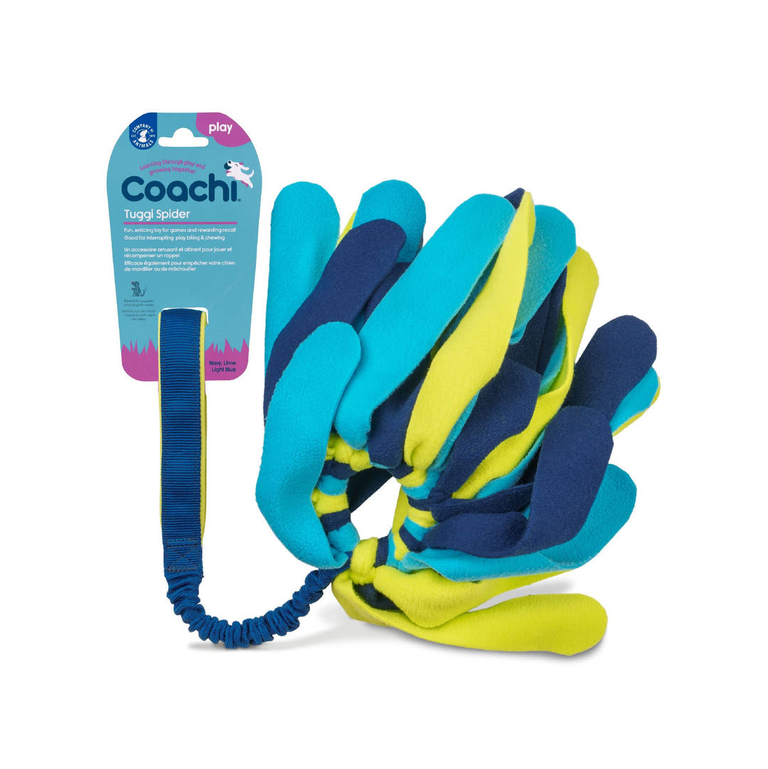 Coachi Tuggi Spider, perfekt für Zerrspiele, robust & angenehm, dehnbarer Bungee-Griff, für Hunde &