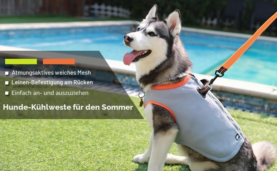Truelove kühlweste für Hunde Hund Kühlweste Geschirr Kühler Jacke mit Verstellbare Reissverschluss f