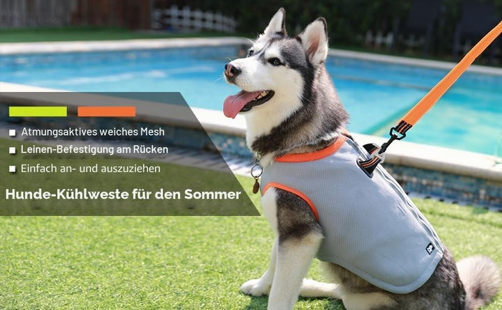 Truelove kühlweste für Hunde Hund Kühlweste Geschirr Kühler Jacke mit Verstellbare Reissverschluss f