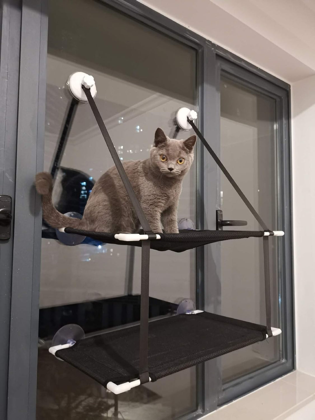 Doppellagige Katzenhängematte mit Aufhängevorrichtung, Starkem Saugnapf, Weichem Katzen-Fenstersitz