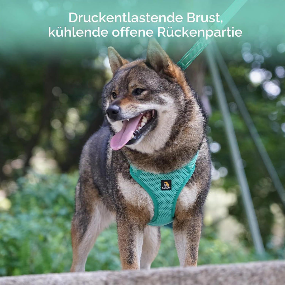 BELLA & PAL Hundegeschirr und Leine Set, Step-in Design mit atmungsaktivem Air-Mesh, reflektierenden