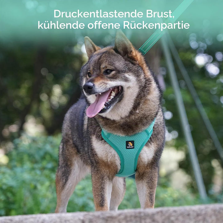 BELLA & PAL Hundegeschirr und Leine Set, Step-in Design mit atmungsaktivem Air-Mesh, reflektierenden