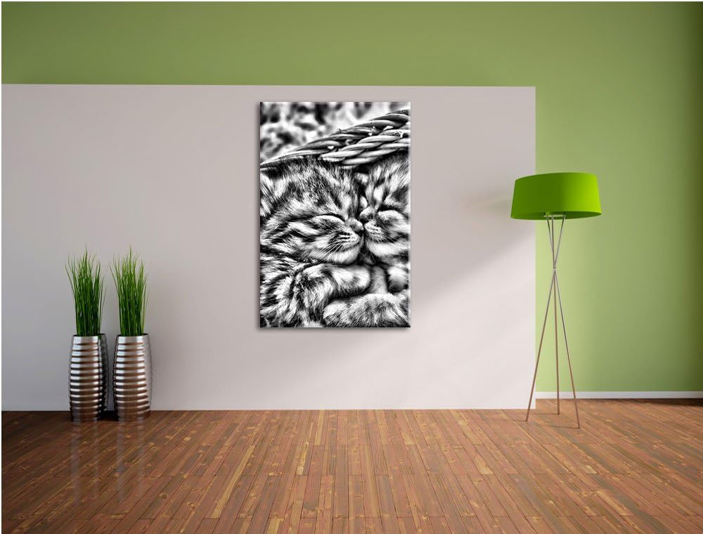 Monocrome, Baby Katze, Format: 100x70 auf Leinwand, XXL riesige Bilder fertig gerahmt mit Keilrahmen
