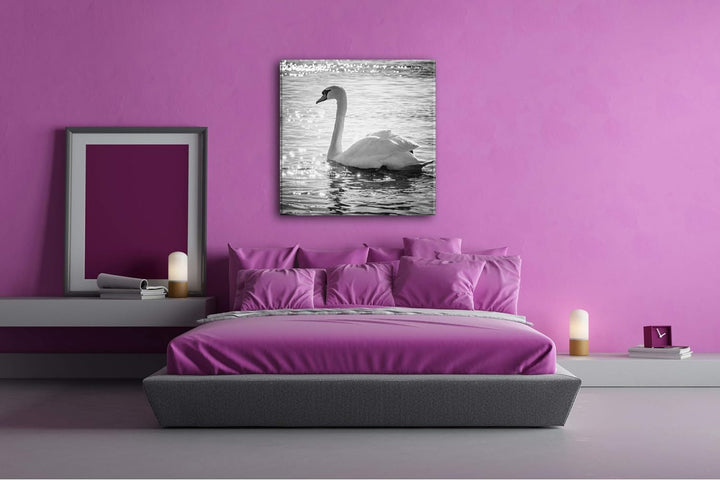 deyoli eleganter Schwan Format: 70x70 Effekt: Schwarz&Weiss als Leinwandbild, Motiv fertig gerahmt a