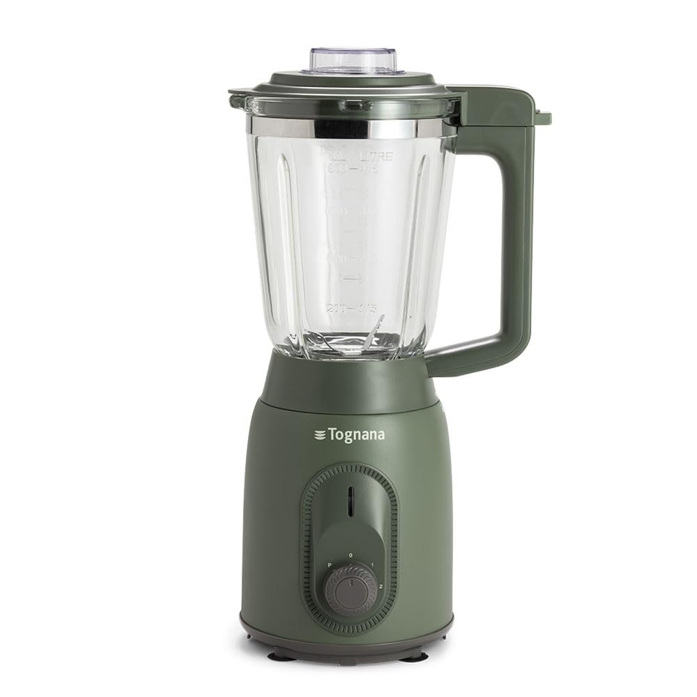 Tognana Iridea Standmixer mit 4 Klingen, Salbeigrün