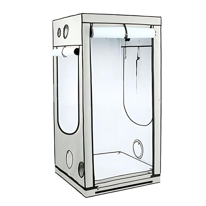 Weedness HOMEbox Ambient - 100x100x220 cm Zuchtzelt Growschrank Growzelt Zuchtbox Gewächszelt Homebo
