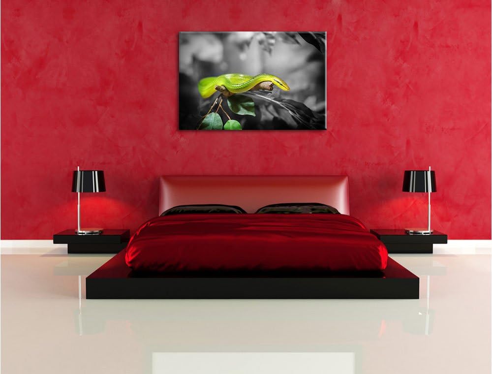 Pixxprint Raue grüne Schlange als Leinwandbild/Grösse: 100x70 / Wandbild/Kunstdruck/fertig bespannt,