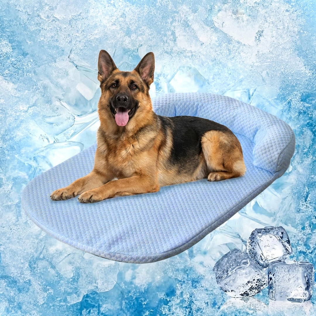Kühlmatte Hund Gross Selbstkühlend Waschbar (100 * 75Blau) | Sommer Tragbares Kühldecke Hund Rutschf