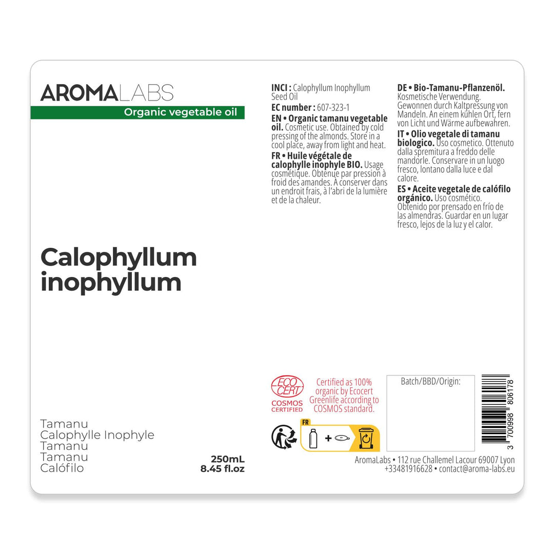Bio Tamanuöl (Calophyllum inophyllum L) – kaltgepresst & unraffiniert – 100% reines Pflanzenöl – 250