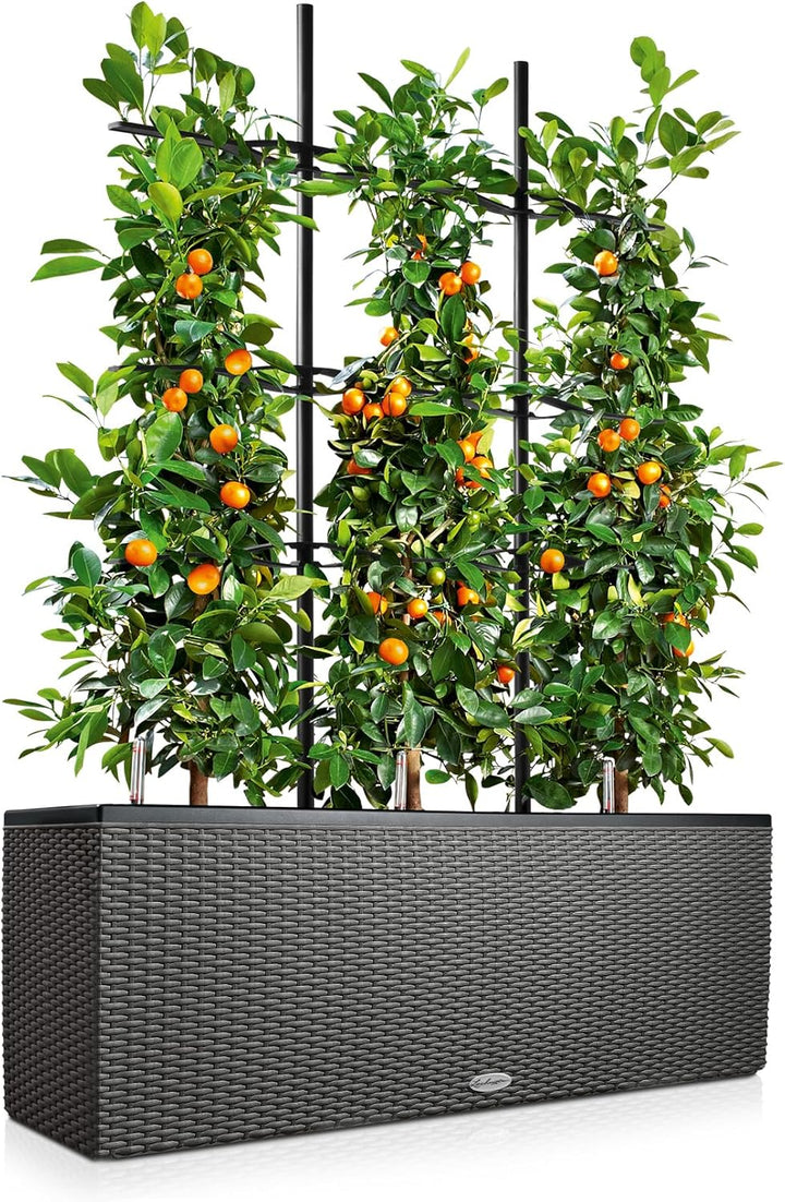 LECHUZA TRIO Cottage 30 granit 15003 Pflanzgefäss mit Erd-Bewässerungs-System 100x32,5x34,5 cm Grani