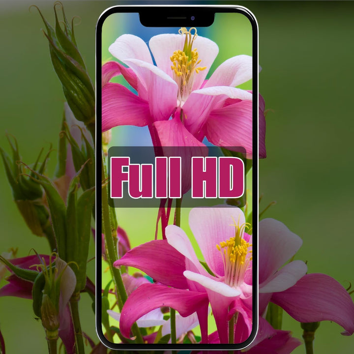 Display für iPhone 12 Mini 5,4'' Full HD Retina LCD mit 3D Touch Digitizer, Ersatzteilset inklusive