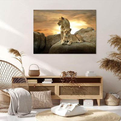 Bilder auf Leinwand 100x70cm Leinwandbild Löwen Sonnenuntergang Felsen Krallen Gross Wanddeko Bild S