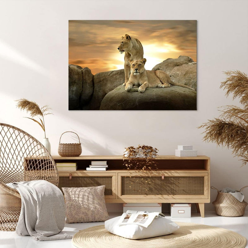 Bilder auf Leinwand 100x70cm Leinwandbild Löwen Sonnenuntergang Felsen Krallen Gross Wanddeko Bild S