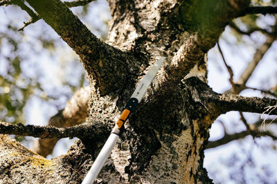 Fiskars Astsäge für kleine Sägearbeiten, Werkzeugkopf, Länge: 52 cm, Gehärteter Stahl, Schwarz/Orang