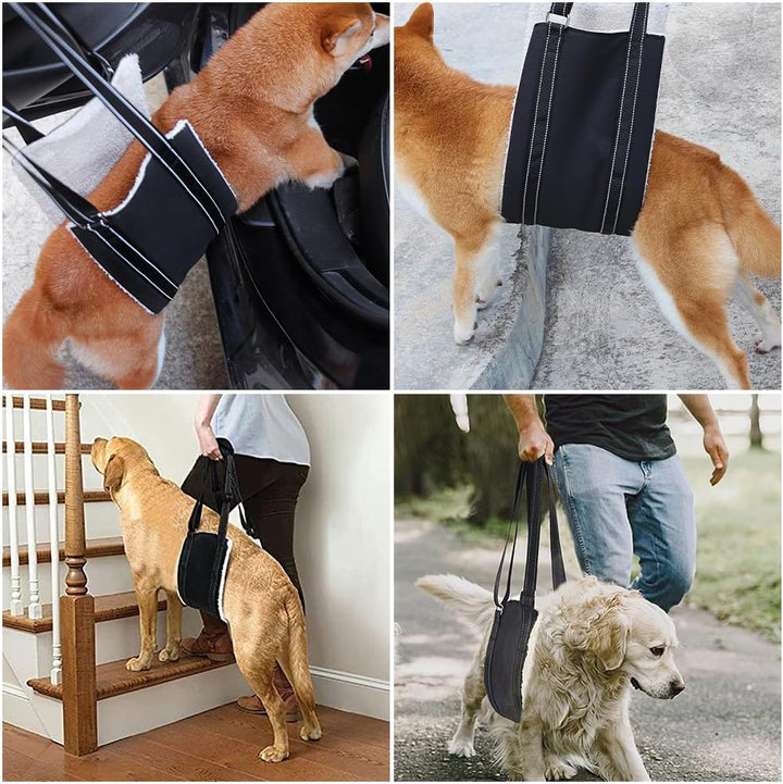 Hunde Tragehilfe, Verstellbare Gehhilfe für Hunde, Hundegeschirr mit Gehhilfe, Hinten Lift Support G