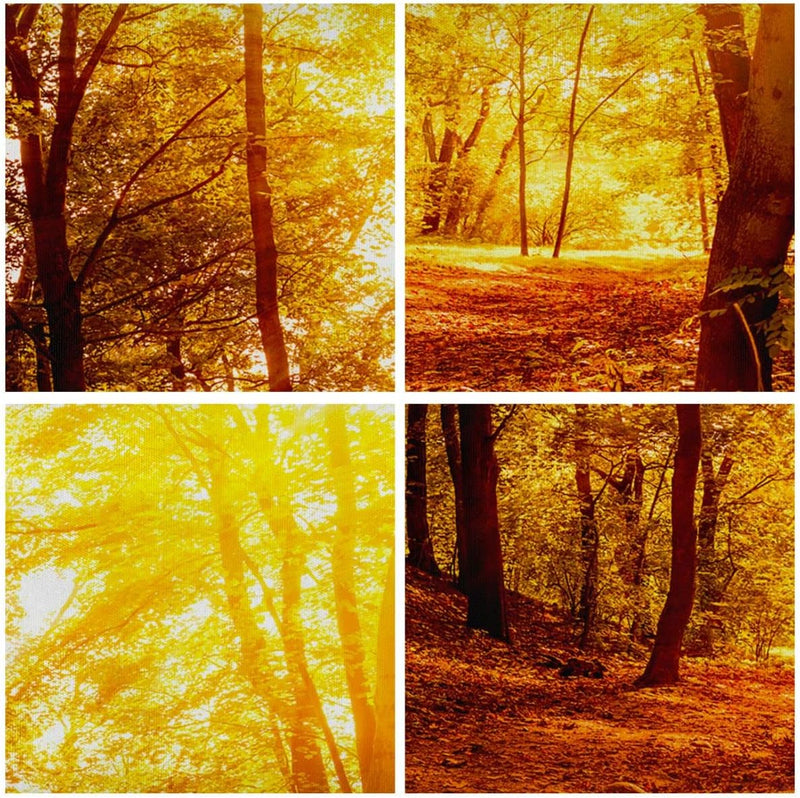 Panorama Bilder auf Leinwand 100x40cm Leinwandbild mit Rahmen Wald Baum Natur Gross Wanddeko Bild Sc