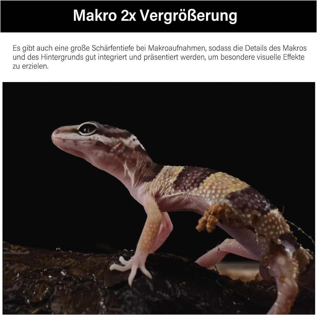 AstrHori 28 mm F13 2X Makrosondenobjektiv Vollformat Spezialobjektiv Eingebautes Ringlicht für spieg