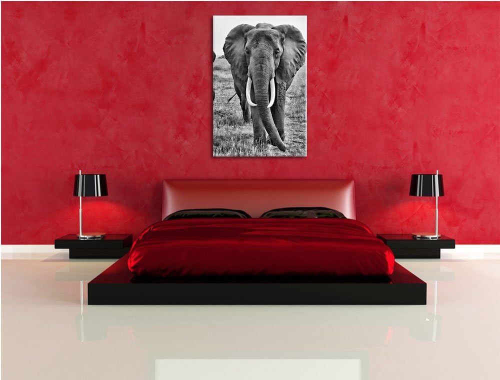 Pixxprint grosse wandernde Elefantenhorde/Format: 100x70cm / Leinwandbild fertig bespannt Wandbild K
