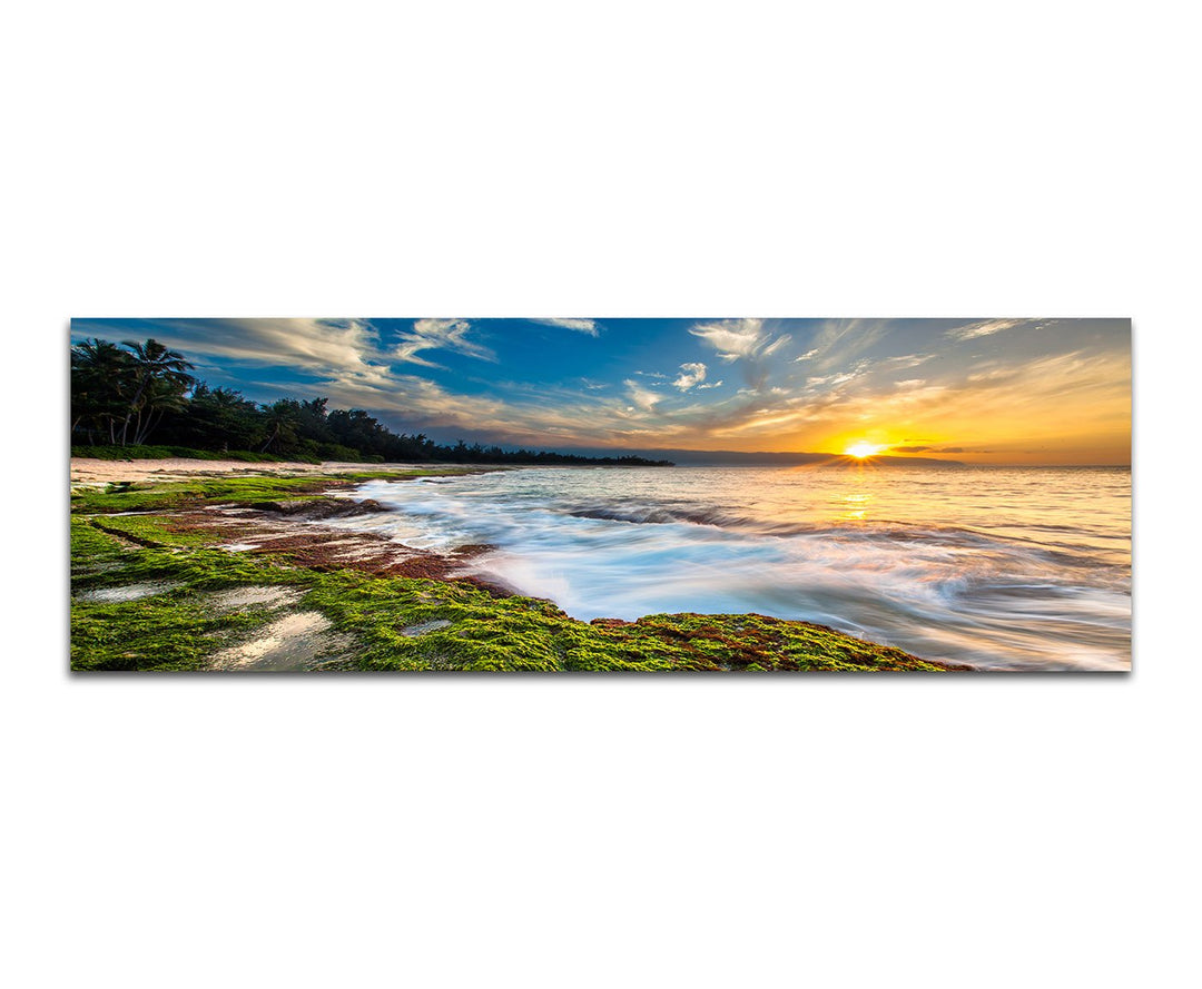 Paul Sinus Art Panoramabild auf Leinwand und Keilrahmen 150x50cm Meer Strand Moos Wald Sonnenunterga
