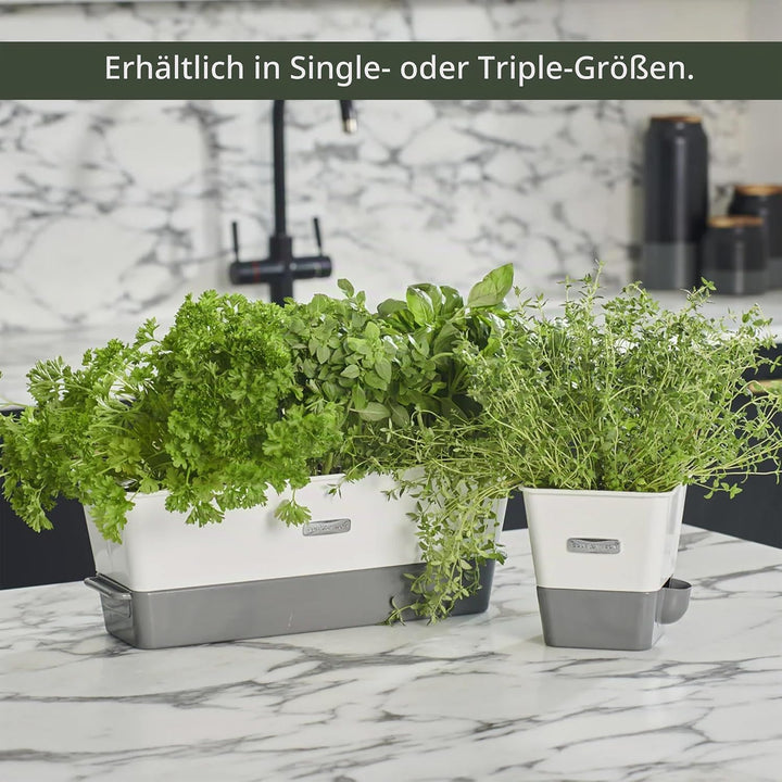 Cole &amp; Mason H105349 Burwell 3-Fach Kräutertopf Selbstbewässernd, Kräutertopf Balkon/Kräutergarten f