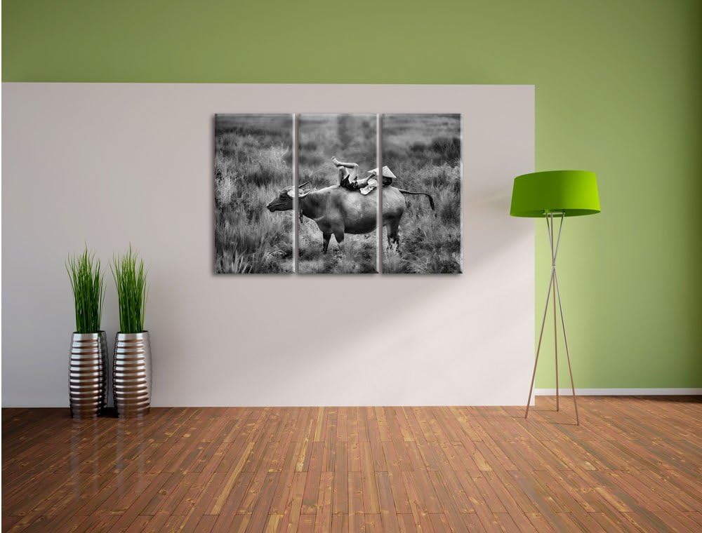 Pixxprint Monocrome, Wasserbüffel trägt Kind 3-Teiler Leinwandbild 120x80 Bild auf Leinwand