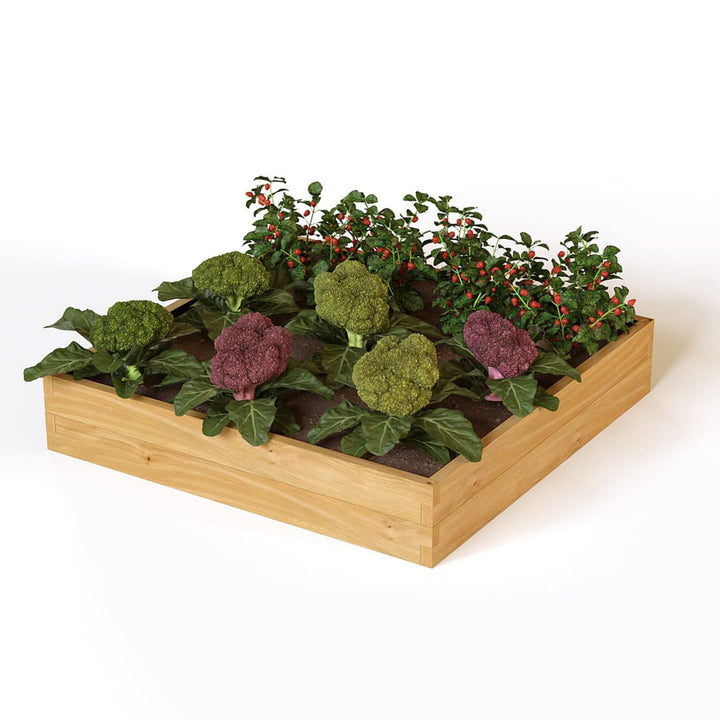holz4home® Hochbeet aus Kieferholz I 110x110x24 cm I Beetrahmen Holz I Gartenbeet zum Anbau von Gemü