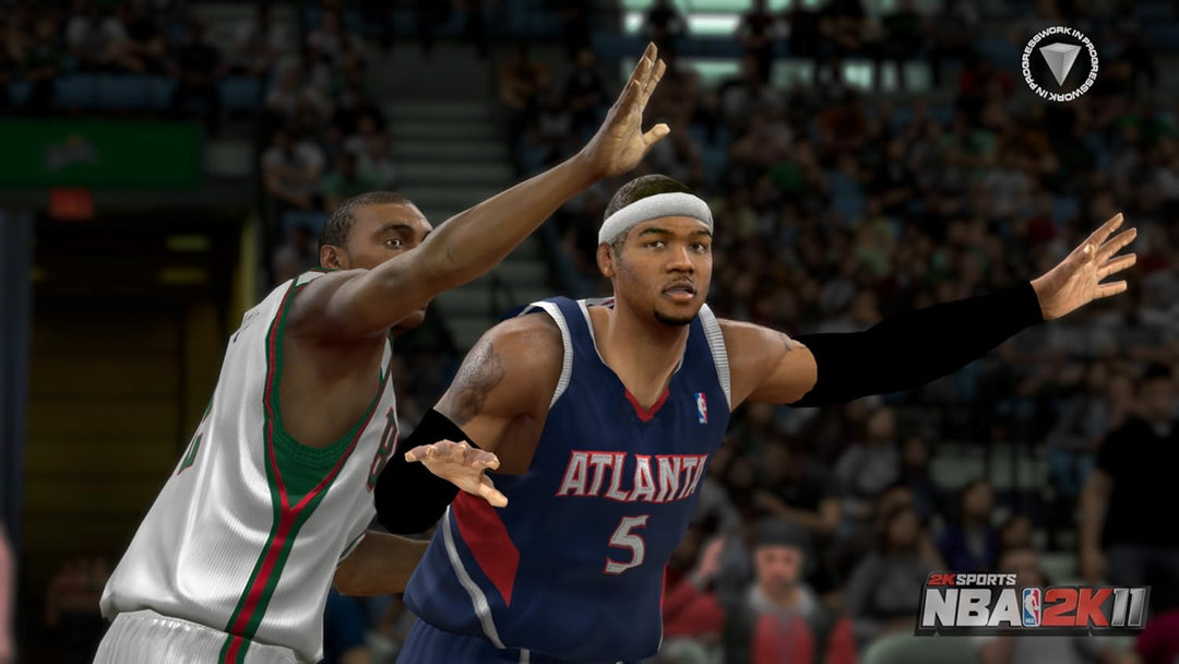 NBA 2K11 Nintendo Wii, Nintendo Wii