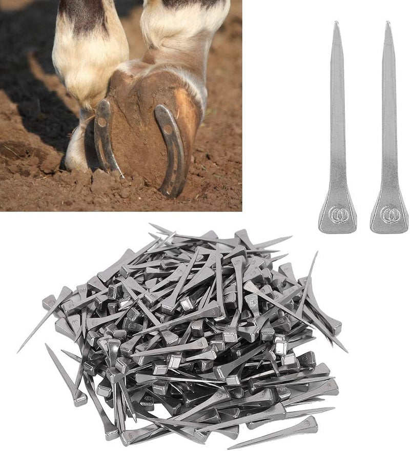 250 Stück 4,8 cm Hufeisennägel Hufeisen Nägel Steel Horseshoe Nails Hufeisennägel Zubehör für Pferde
