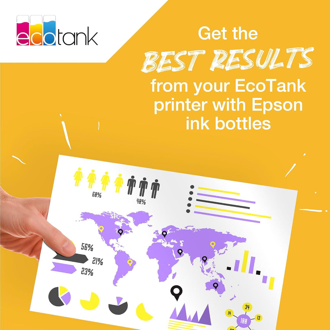 Epson EcoTank 113 Original Tintenflasche, Schwarz, Pigmenttinte (Packung mit 2) Schwarz 127 ml (Pack