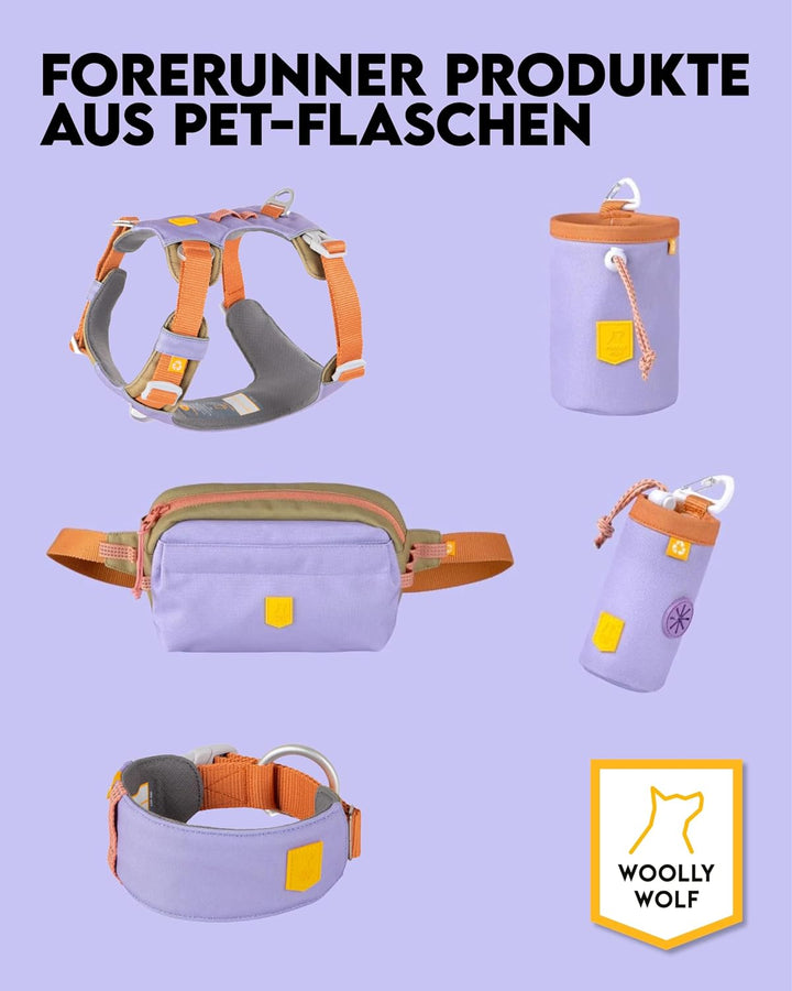 Woolly Wolf Color Block Hundegeschirr für kleine Hunde S – Geschirr mit Reflektoren &amp; 5-Punkt-Anpass
