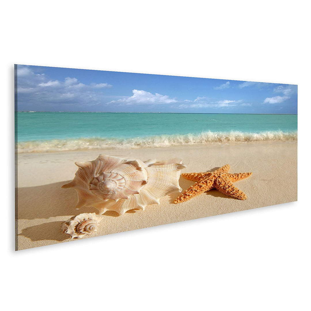islandburner Bild auf Leinwand Meer Muschel Seestern Im Tropischen Sand Türkisfarbenes Meer Karibik