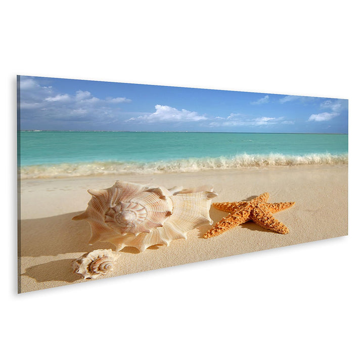 islandburner Bild auf Leinwand Meer Muschel Seestern Im Tropischen Sand Türkisfarbenes Meer Karibik