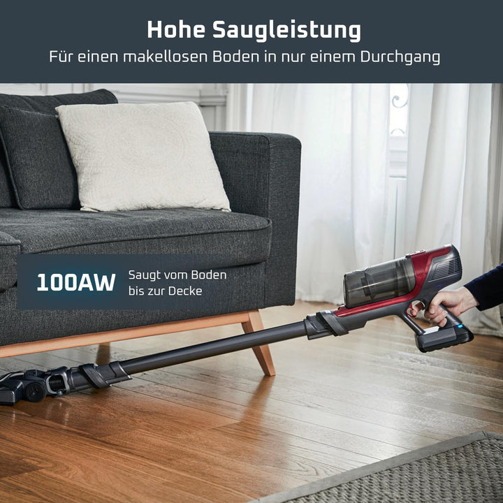 Rowenta RH6878 X-Pert 6.60 ANIMAL Akku-Staubsauger | Stab-& Handstaubsauger | 45 Min Laufzeit | LED-