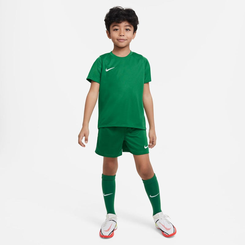 Nike Kinder Dry Park 20 Trikot Set, Pine Green/Pine Green/White, M