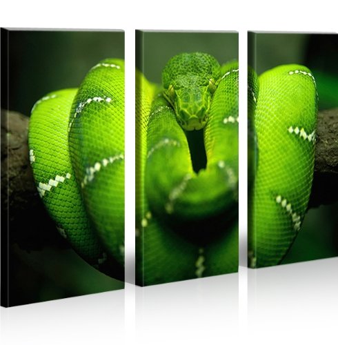 islandburner Bild Bilder auf Leinwand Grüne Mamba Gift Schlange XXL Poster Leinwandbild Wandbild Dek