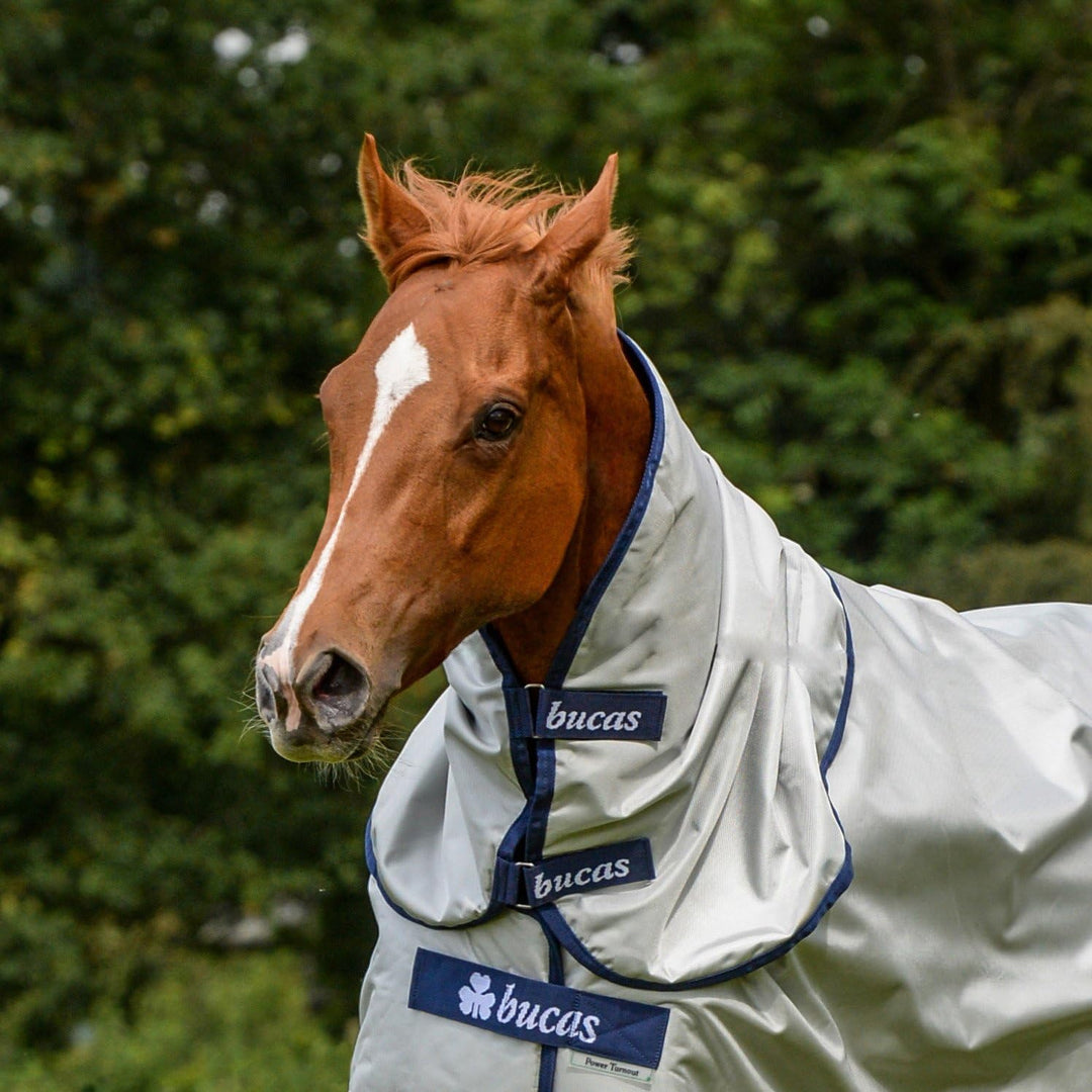 Bucas Power Turnout Combi Neck, Halsteil, Silber, Grösse L (Rückenlänge 145 cm), L