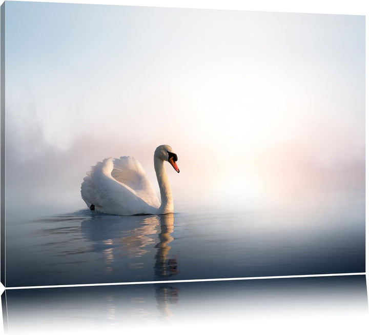 traumhafter weisser Schwan im See Format: 100x70 auf Leinwand, XXL riesige Bilder fertig gerahmt mit