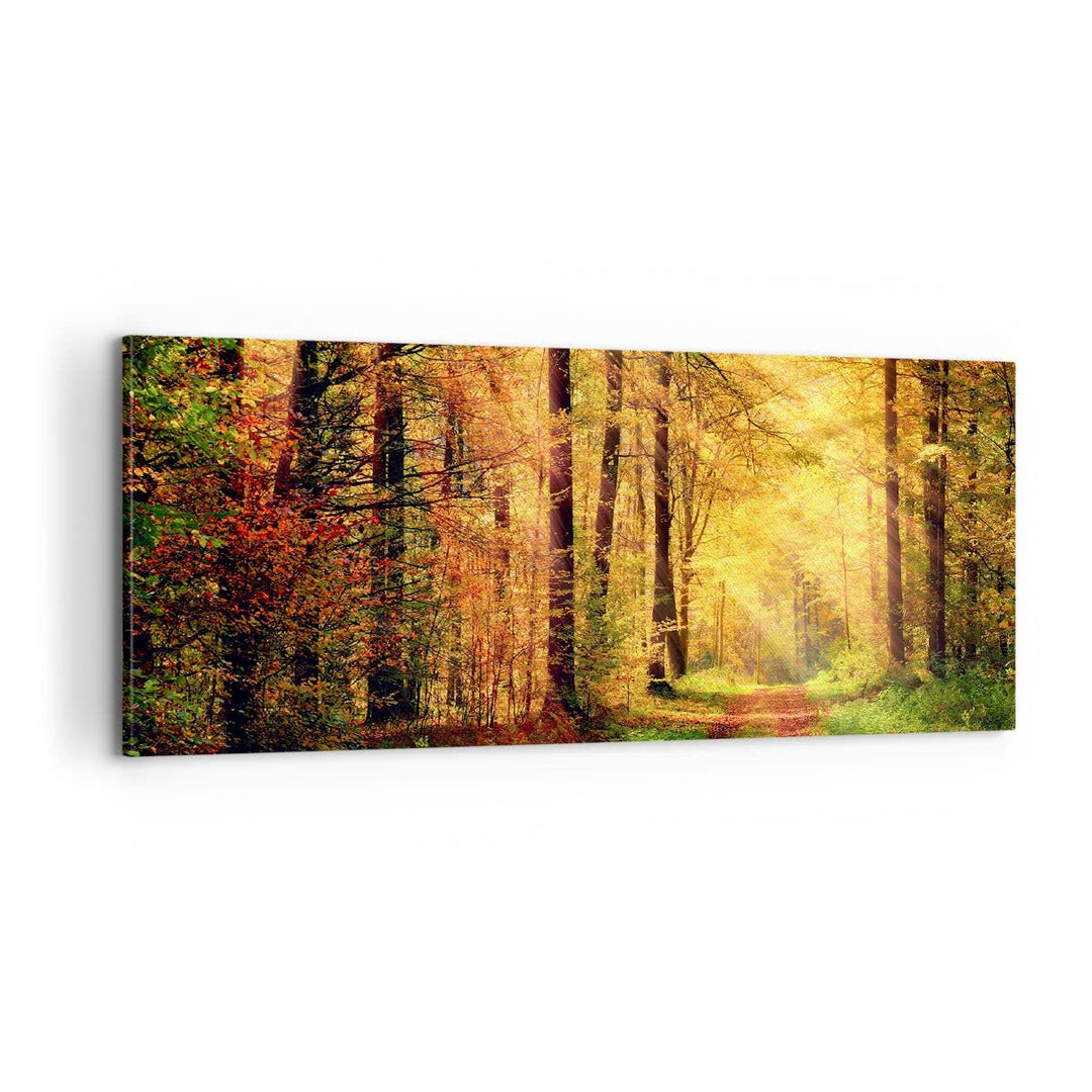 Panorama Bilder auf Leinwand 100x40cm Leinwandbild mit Rahmen Wald Baum Natur Gross Wanddeko Bild Sc