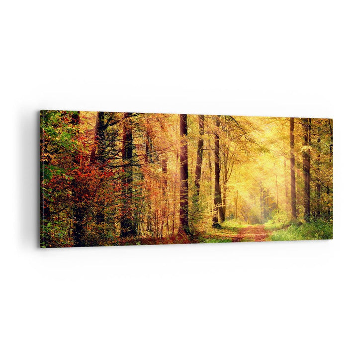 Panorama Bilder auf Leinwand 100x40cm Leinwandbild mit Rahmen Wald Baum Natur Gross Wanddeko Bild Sc