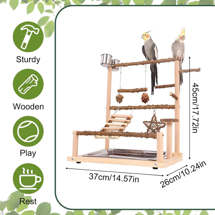 Vogelspielplatz Wellensittich Spielplatz Spielzeug, Grosser vogel Spielplatz mit Schaukel Sitzstange