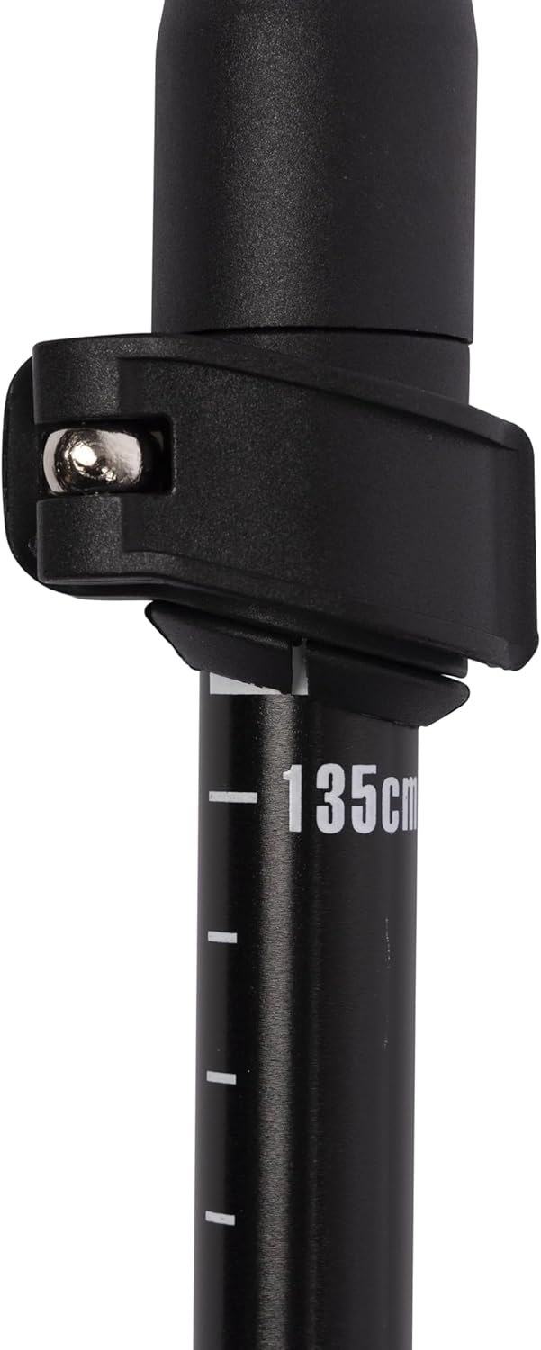 Trespass Wanderstock Qiklock mit 3 Abschnitten, Silver, One Size, UUACMIM30017_SILEACH