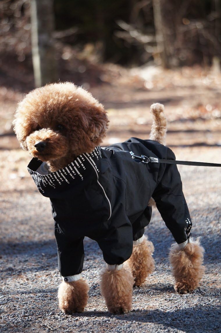 Hurtta Regenmantel für Hunde, 12M, Raven 12M raven, 12M raven