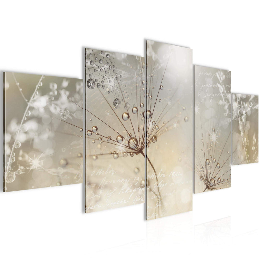 Runa Art Wandbilder Blumen Pusteblume 5 Teilig Bild auf Vlies Leinwand Deko Wohnzimmer Gräser Beige